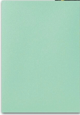 100 Protèges cartes Dual Matte - Eucalyptus - Lehel Dragon Shield – Image 2